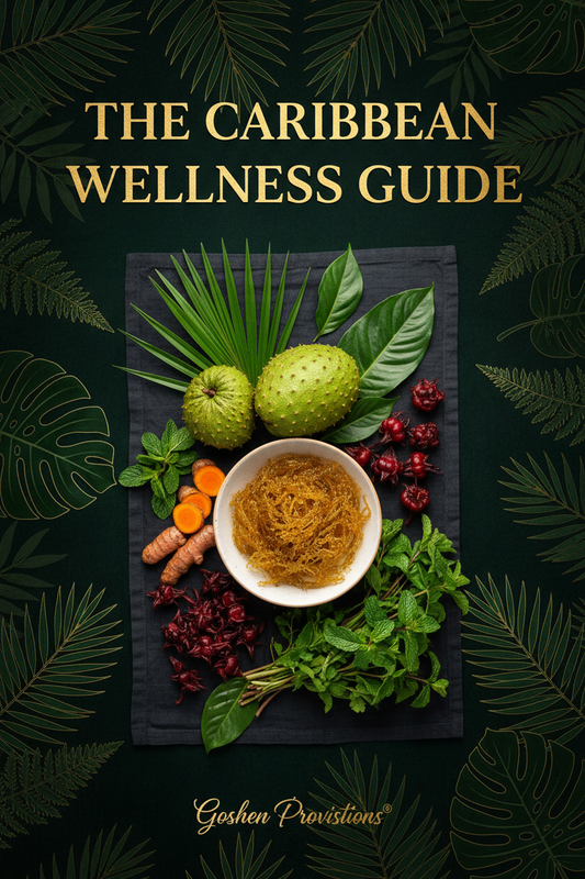 The Caribbean Wellness Guide Cover
